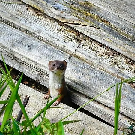 Farm stay Rifugio Cinque Terre Biassa
