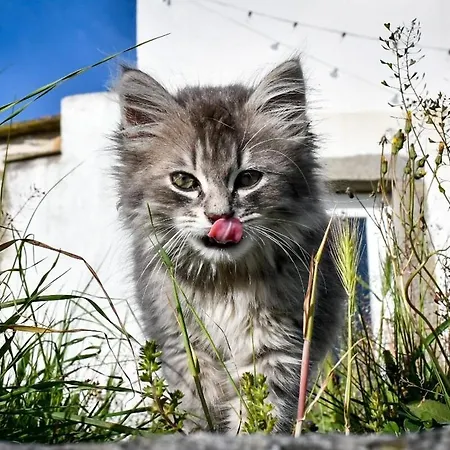 Rifugio Cinque Terre مزرعة للإقامة *