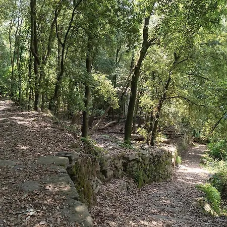 Rifugio Cinque Terre * Biassa