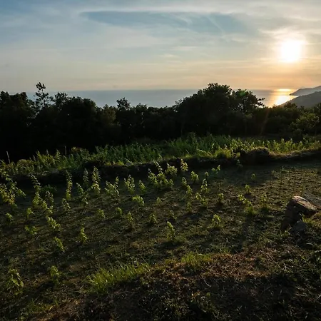 Rifugio Cinque Terre Biassa
