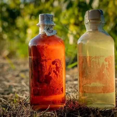 Rifugio Cinque Terre * Biassa