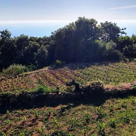 Rifugio Cinque Terre Farm stay *