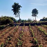 Rifugio Cinque Terre בית חווה