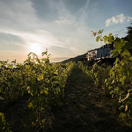 Rifugio Cinque Terre *