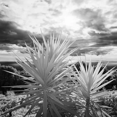 Rifugio Cinque Terre Biassa