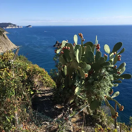 Rifugio Cinque Terre * Biassa