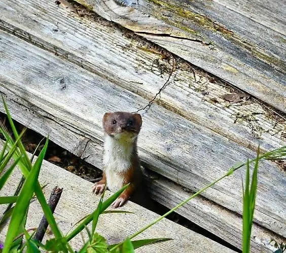 Agroturismo Rifugio Cinque Terre Biassa