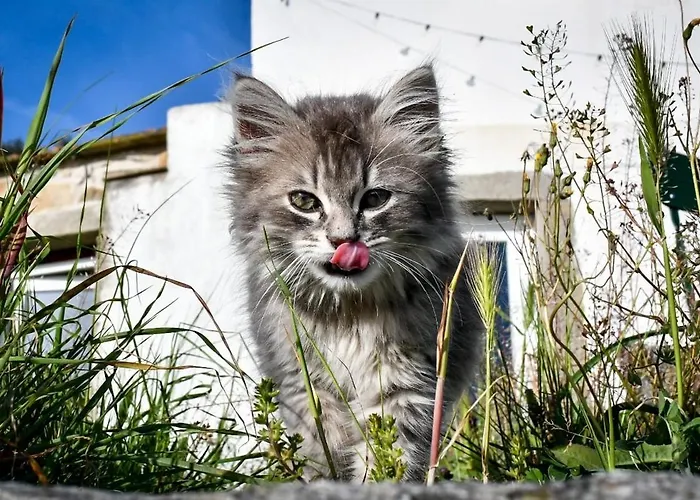 Rifugio Cinque Terre Lantgård *