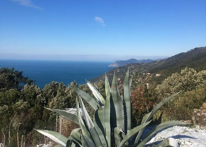 Lantgård Rifugio Cinque Terre Biassa