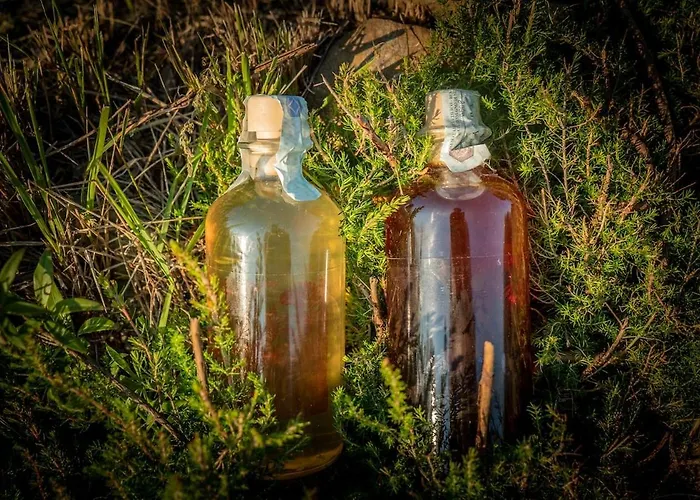 Lantgård Rifugio Cinque Terre Biassa