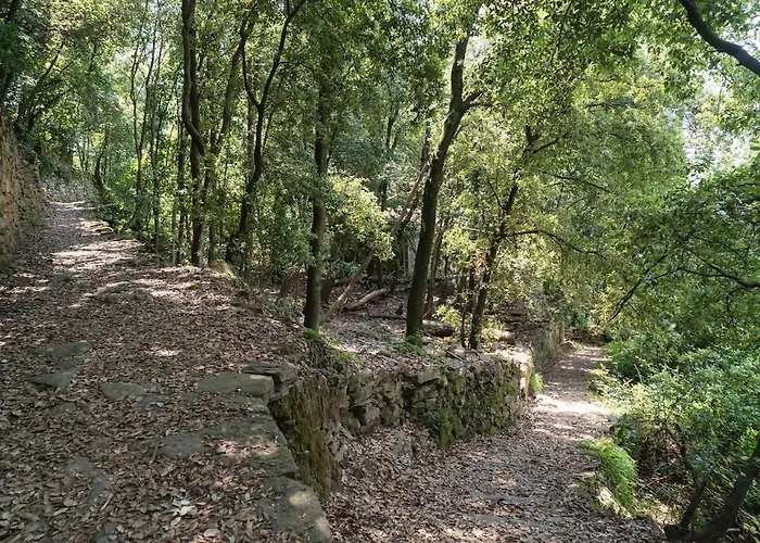 Rifugio Cinque Terre * Biassa