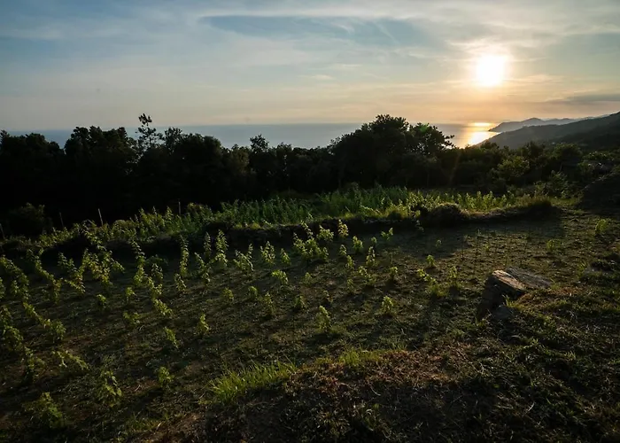 Rifugio Cinque Terre Biassa