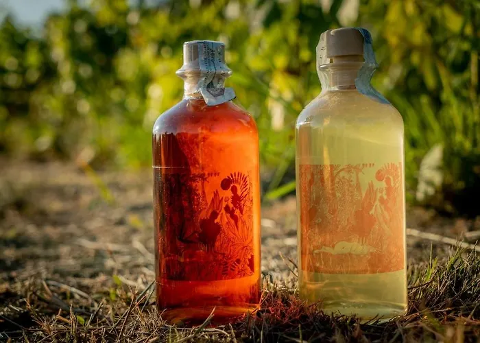 Rifugio Cinque Terre * Biassa