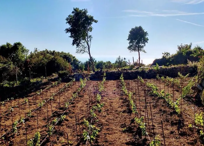 Rifugio Cinque Terre Agroturismo