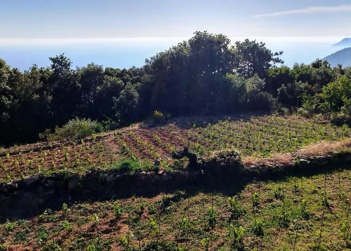 Rifugio Cinque Terre Lantgård *