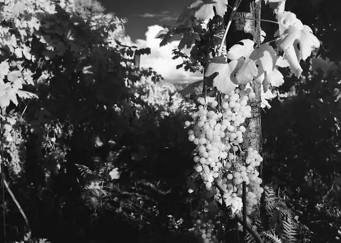 Rifugio Cinque Terre * Biassa