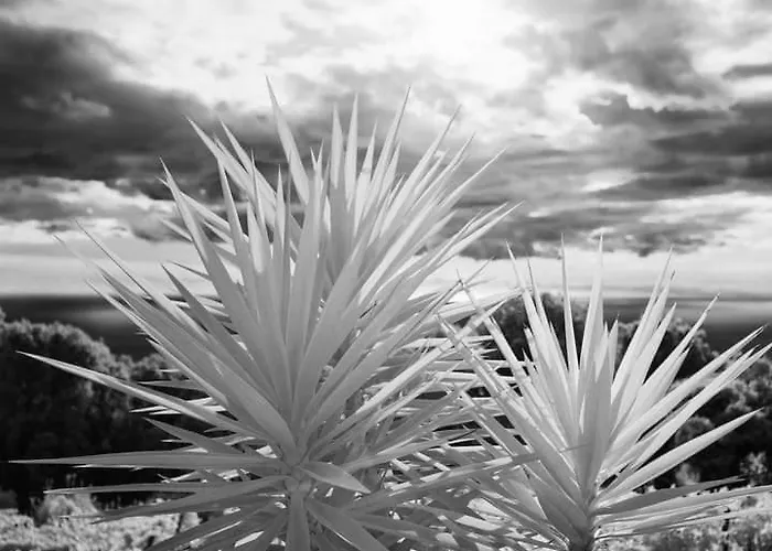 Rifugio Cinque Terre Biassa