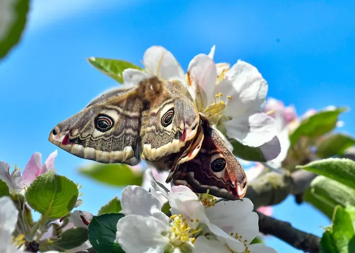 Rifugio Cinque Terre Lantgård Biassa
