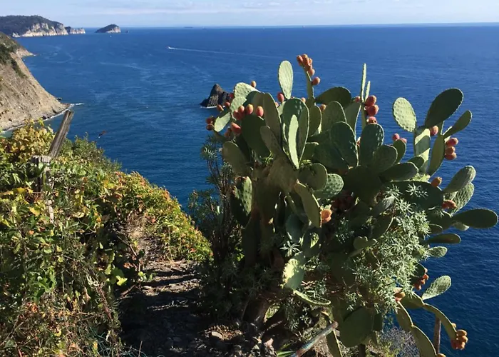 Rifugio Cinque Terre * Biassa